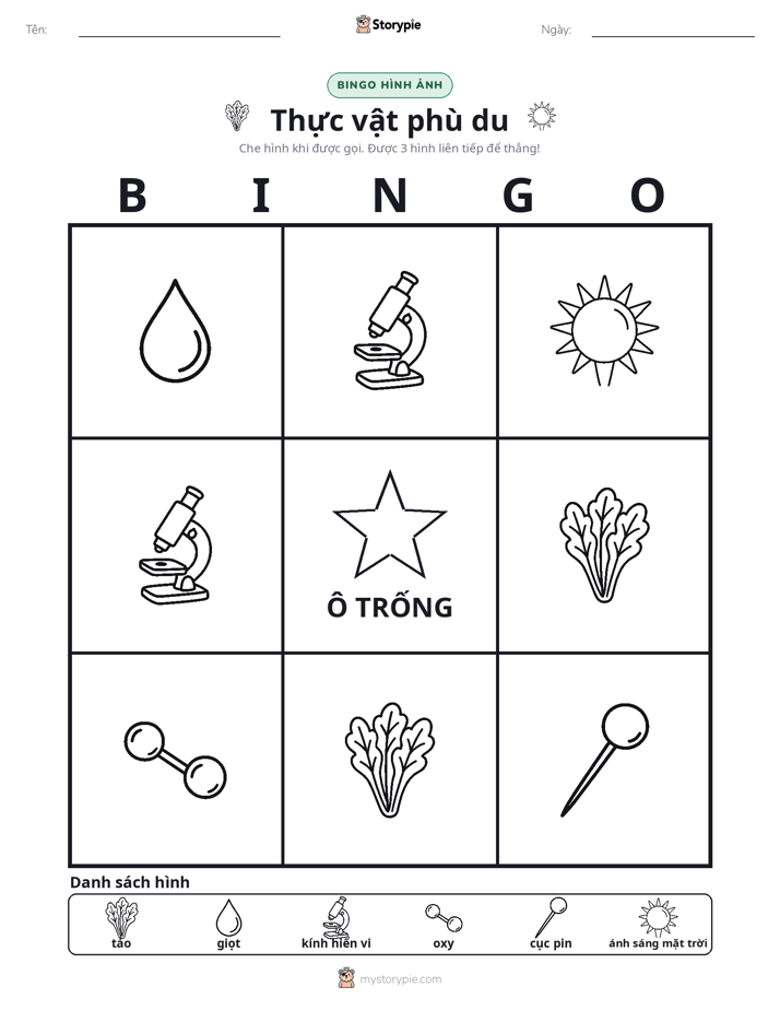 Bingo Hình Ảnh
