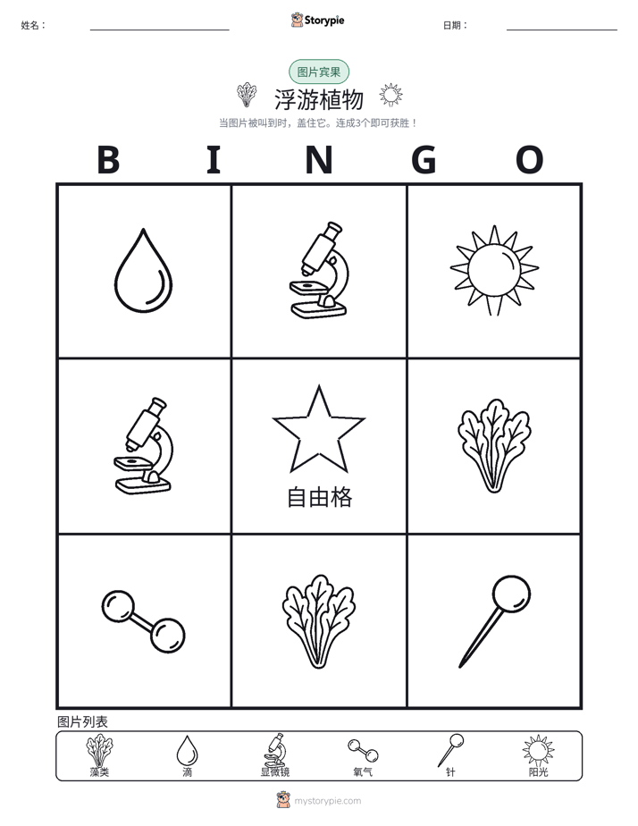 图片宾果