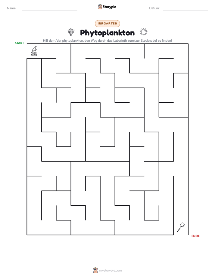 Labyrinth