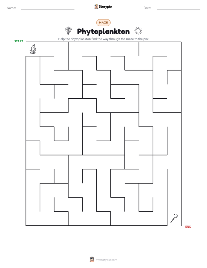 Maze