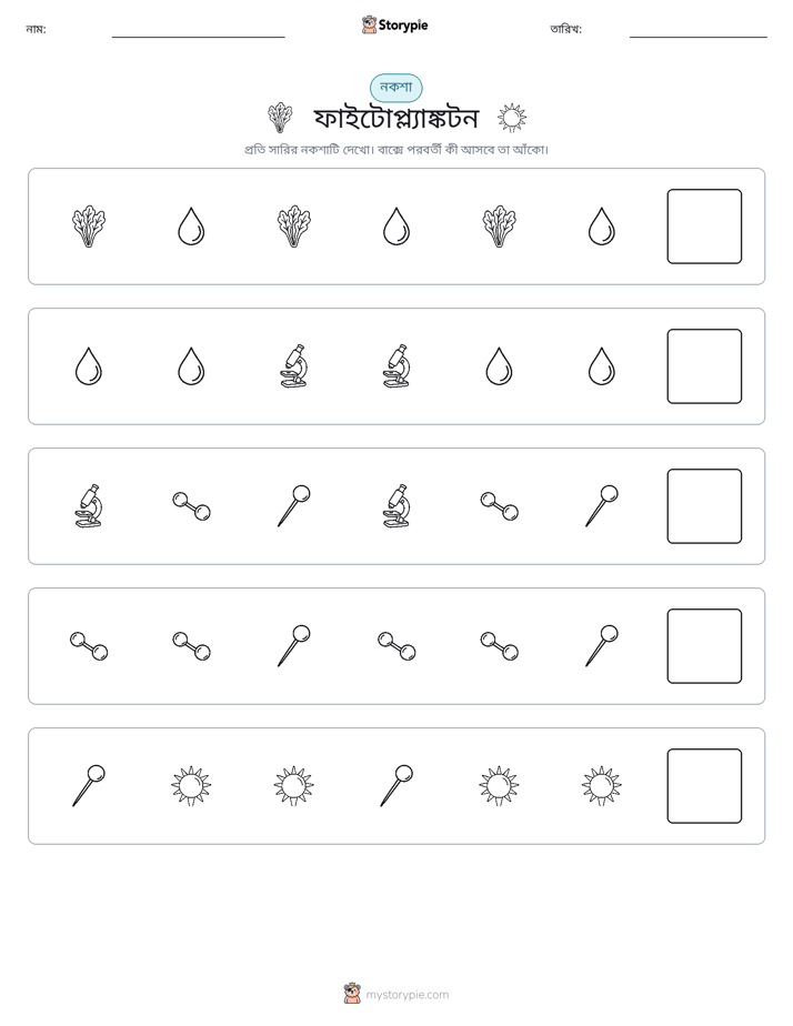 প্যাটার্ন