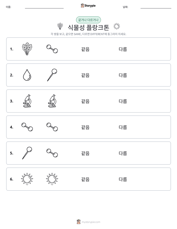 같은 것 또는 다른 것