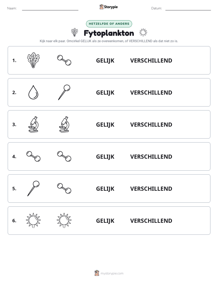 Zelfde of Verschillend