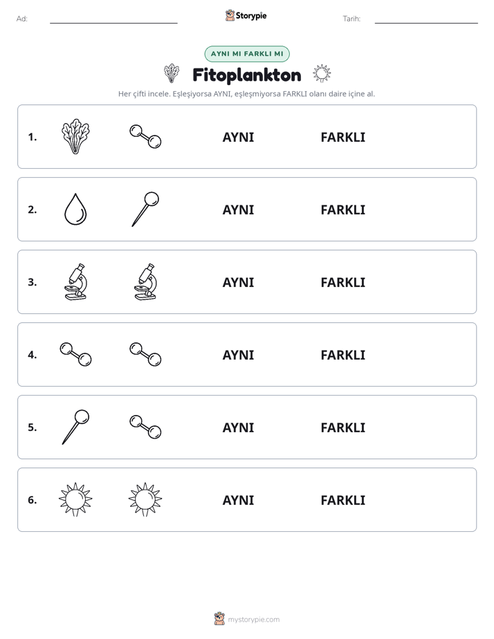Aynı mı Farklı mı