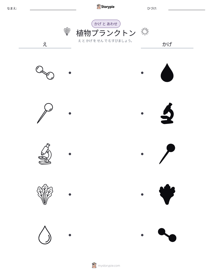 シャドウマッチ