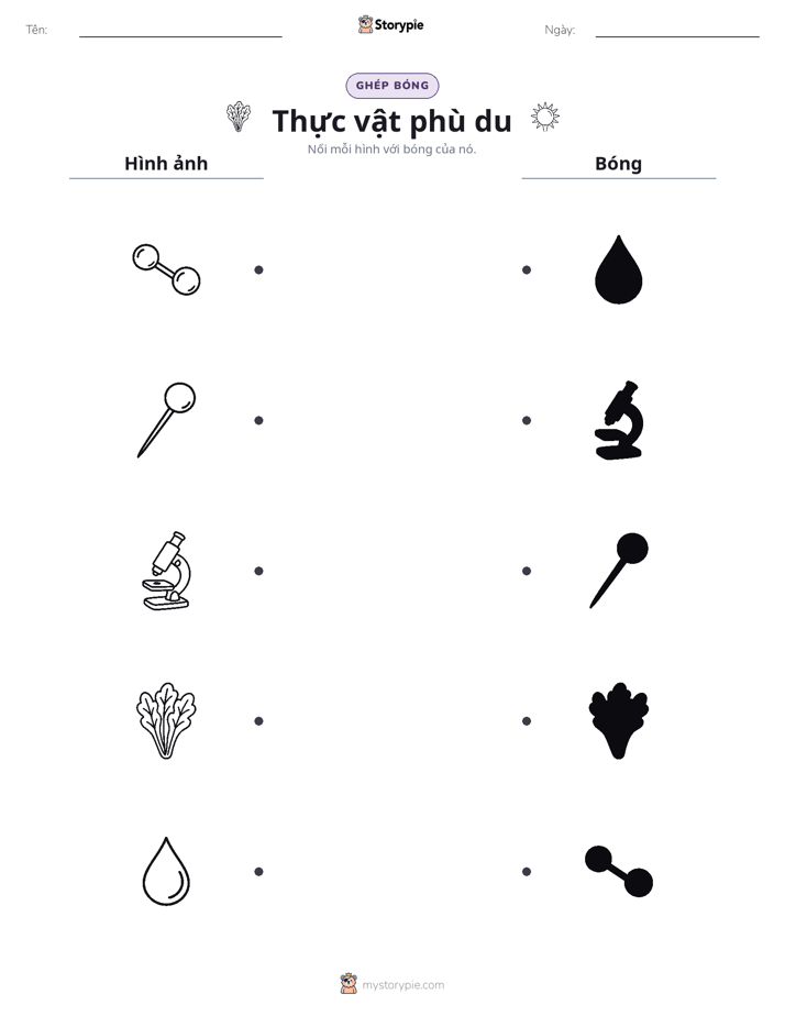 Ghép Hình Bóng