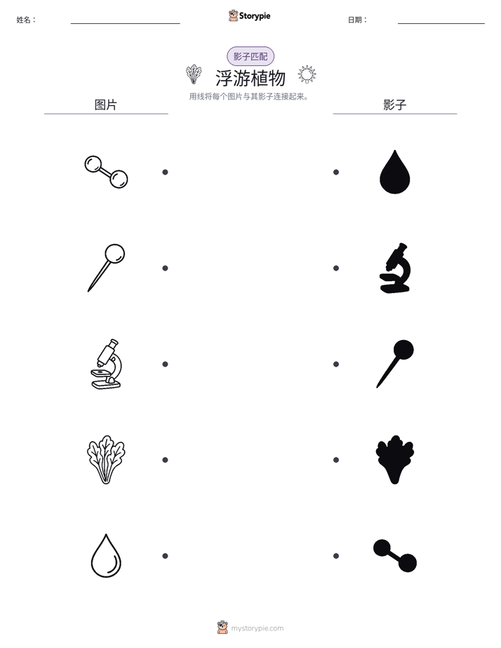 影子匹配