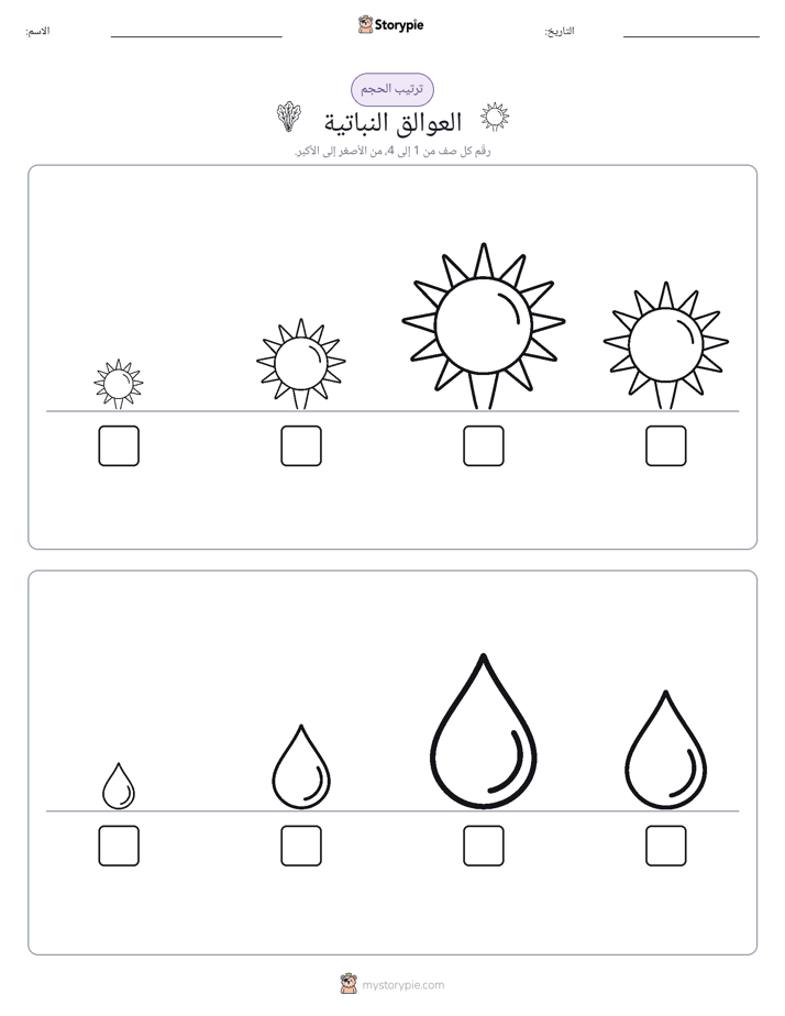 ترتيب الحجم
