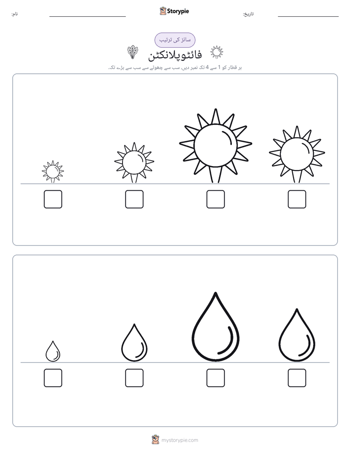 سائز کی ترتیب