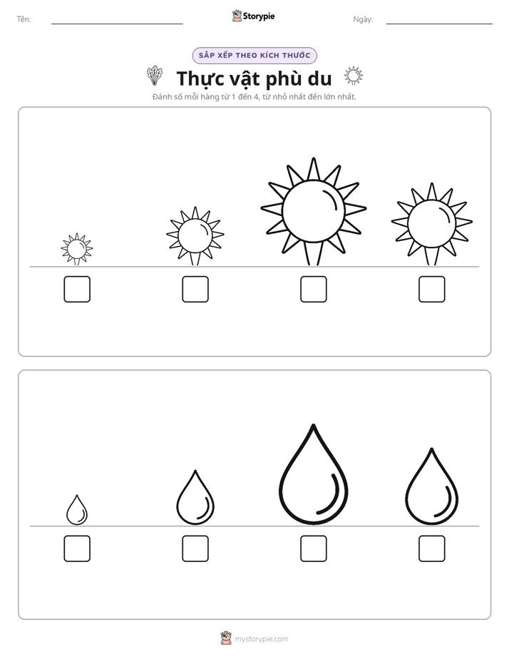 Thứ Tự Kích Thước