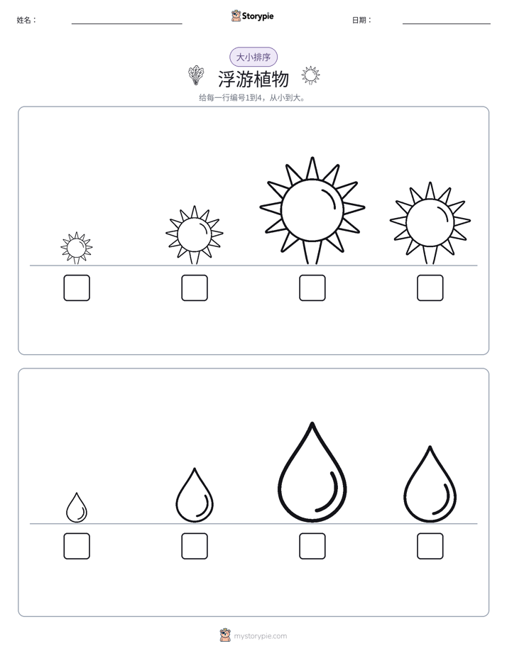 大小排序