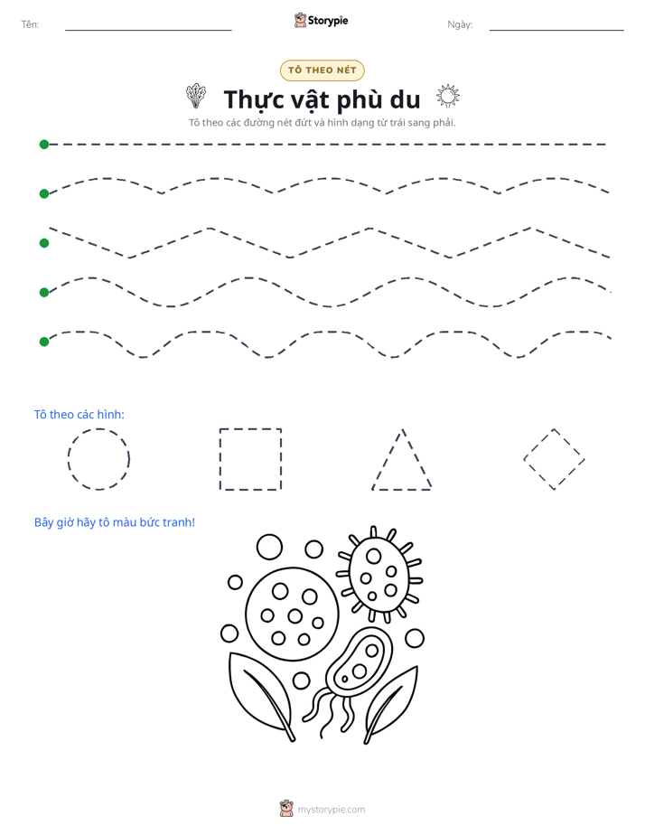 Vẽ Theo Đường