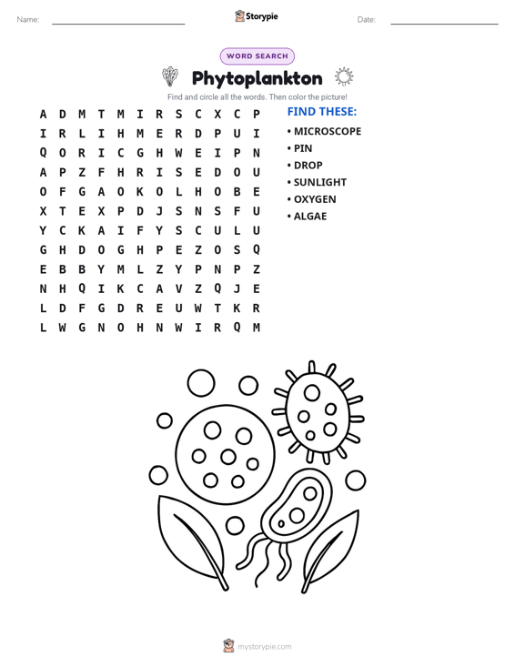 Word Search