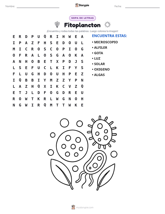 Sopa de Letras