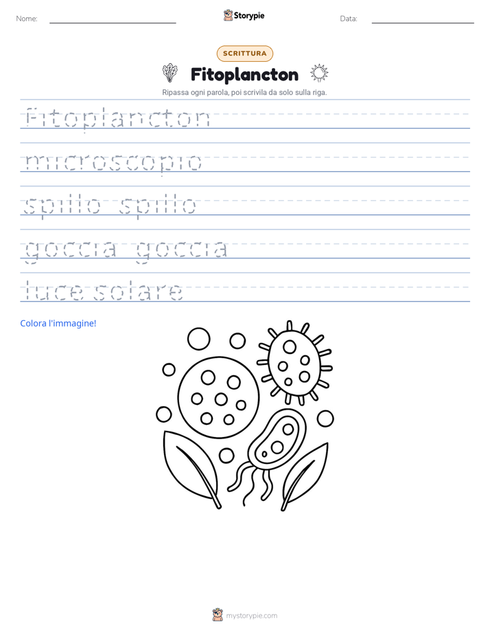 Pratica di Scrittura