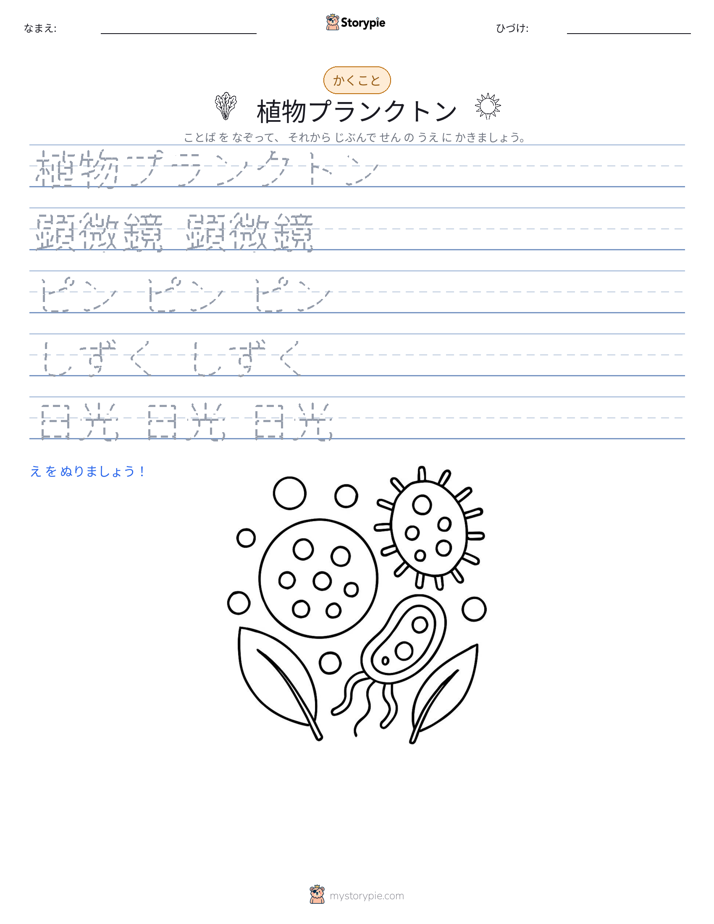 書き取り練習