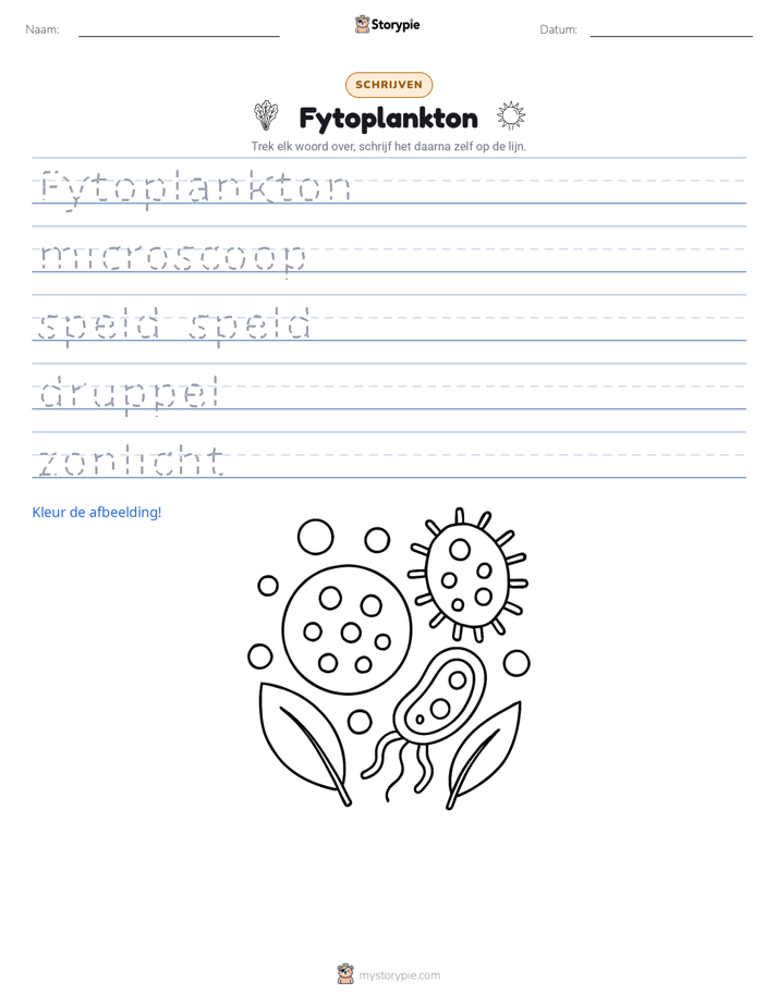 Schrijf Oefening