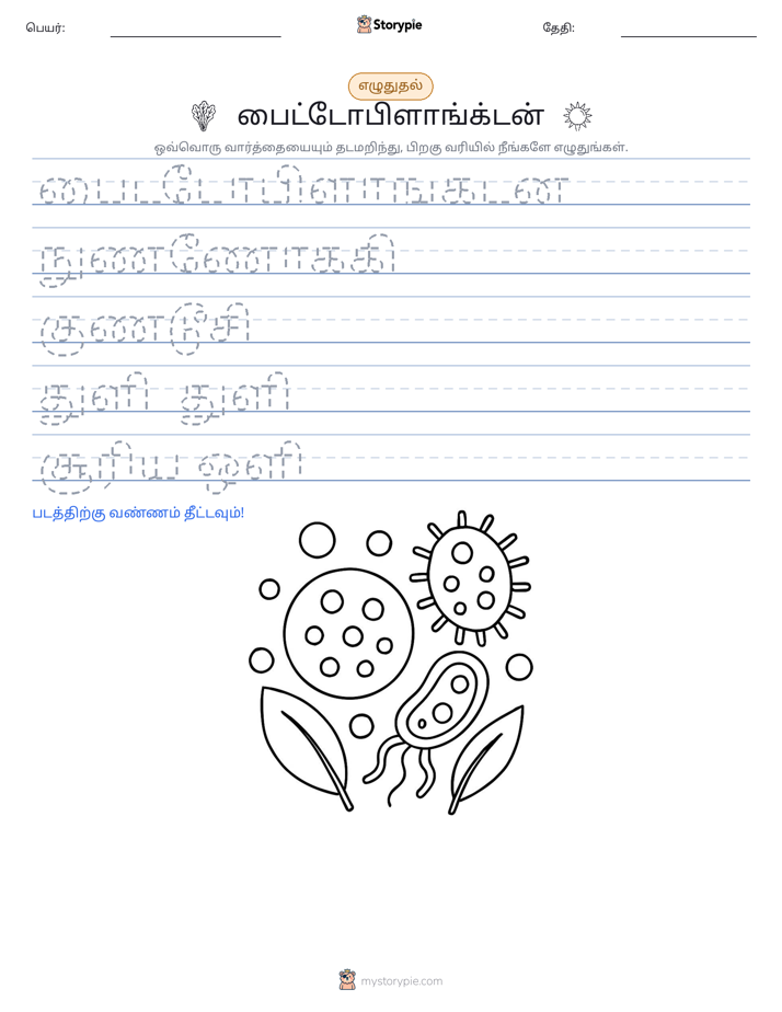 எழுத்து பயிற்சி