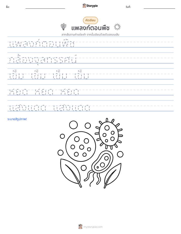 การฝึกเขียน