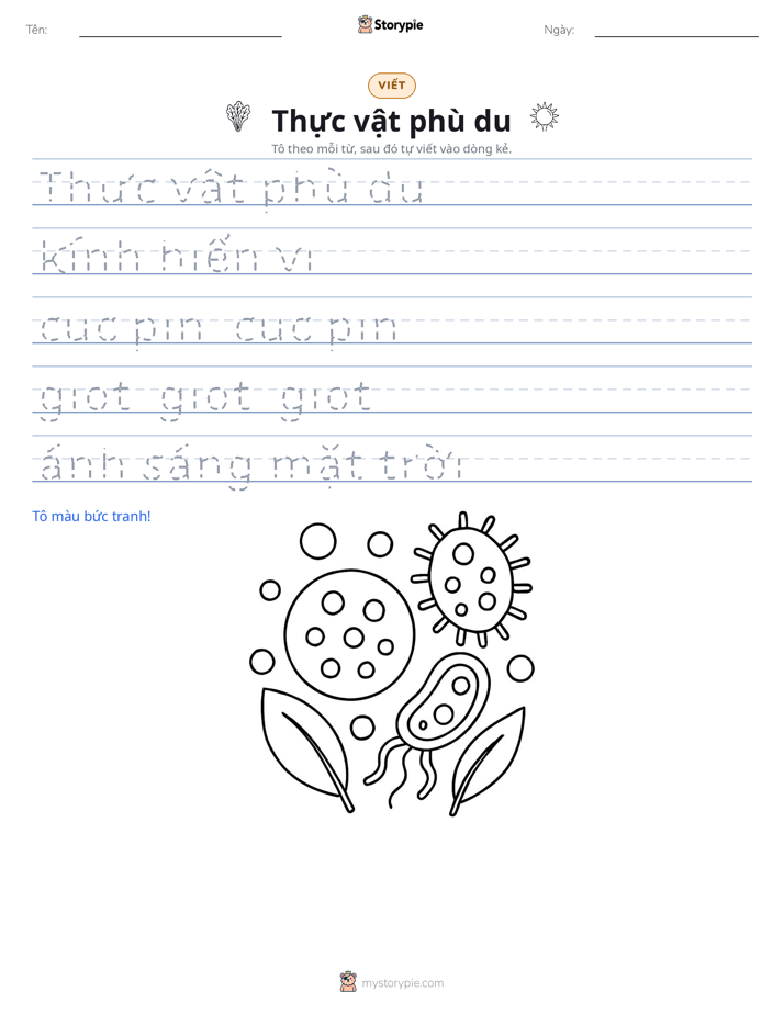 Luyện Viết