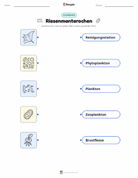 Riesenmanta druckbare Arbeitsblatt für Kinder