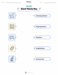 Giant Manta Ray printable worksheet for kids