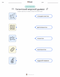 Гигантская манта распечатываемый рабочий лист для детей