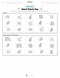 Giant Manta Ray printable worksheet preview