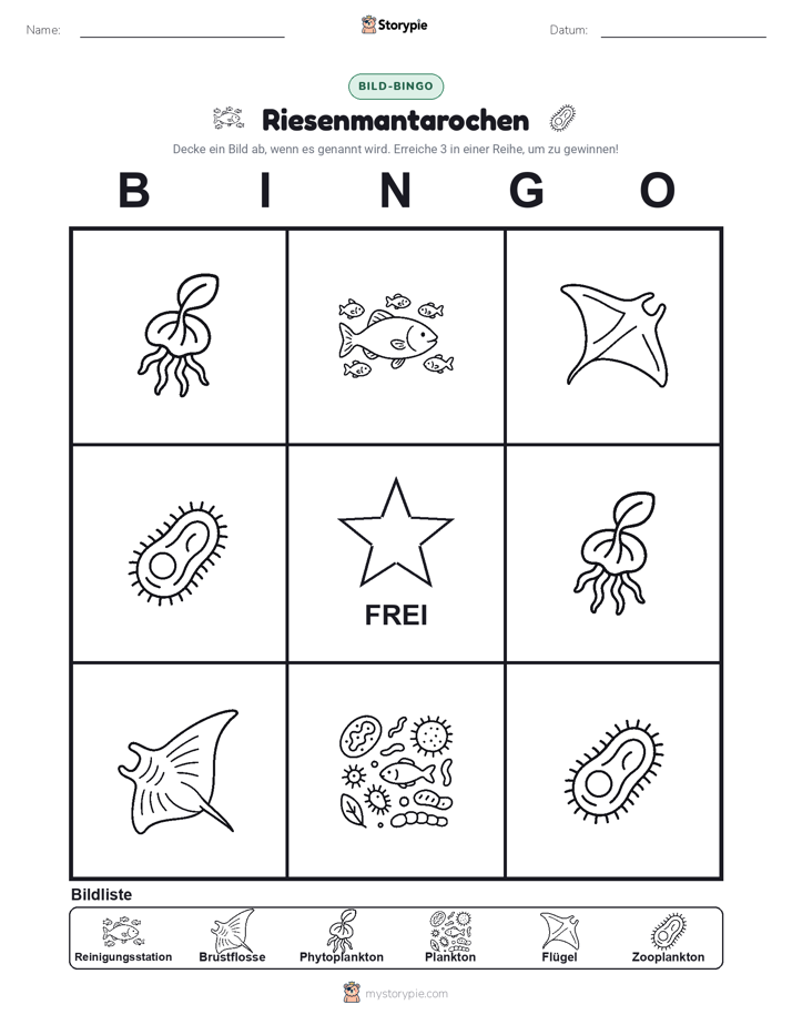 Bild-Bingo