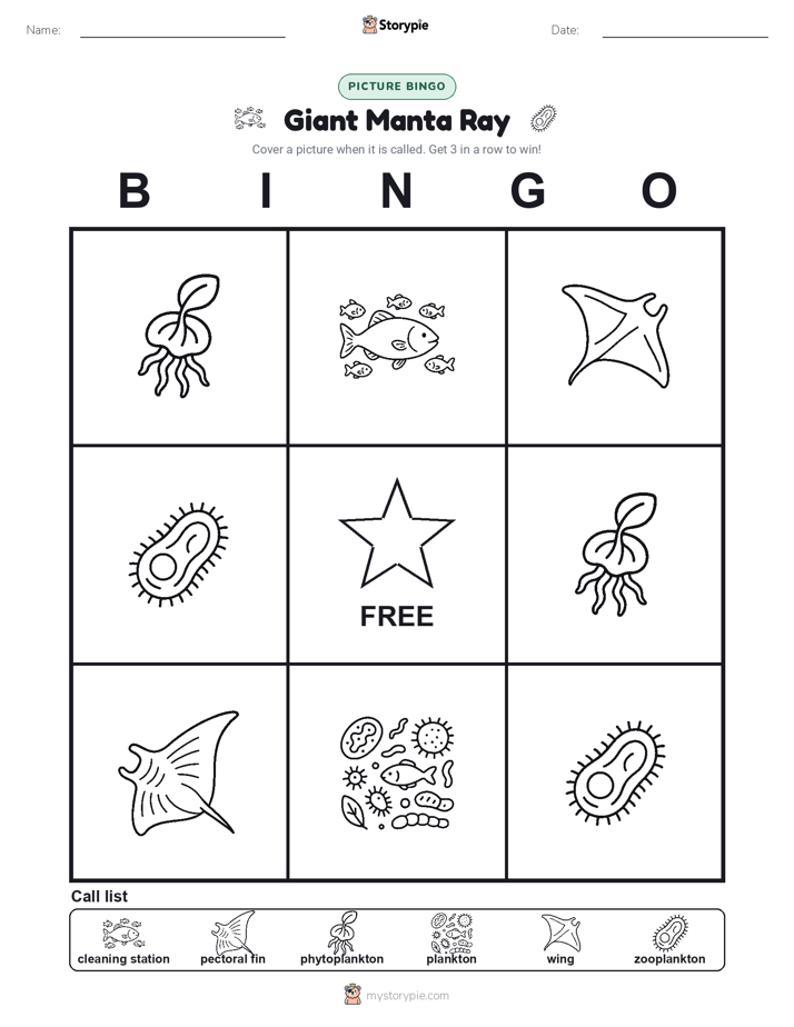 Picture Bingo