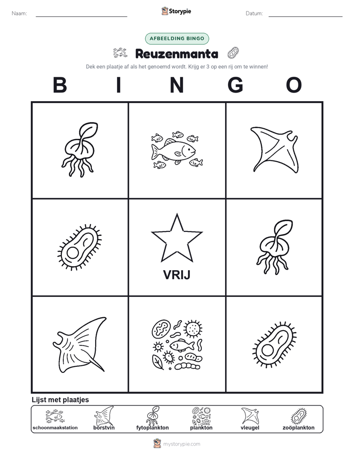 Afbeelding Bingo