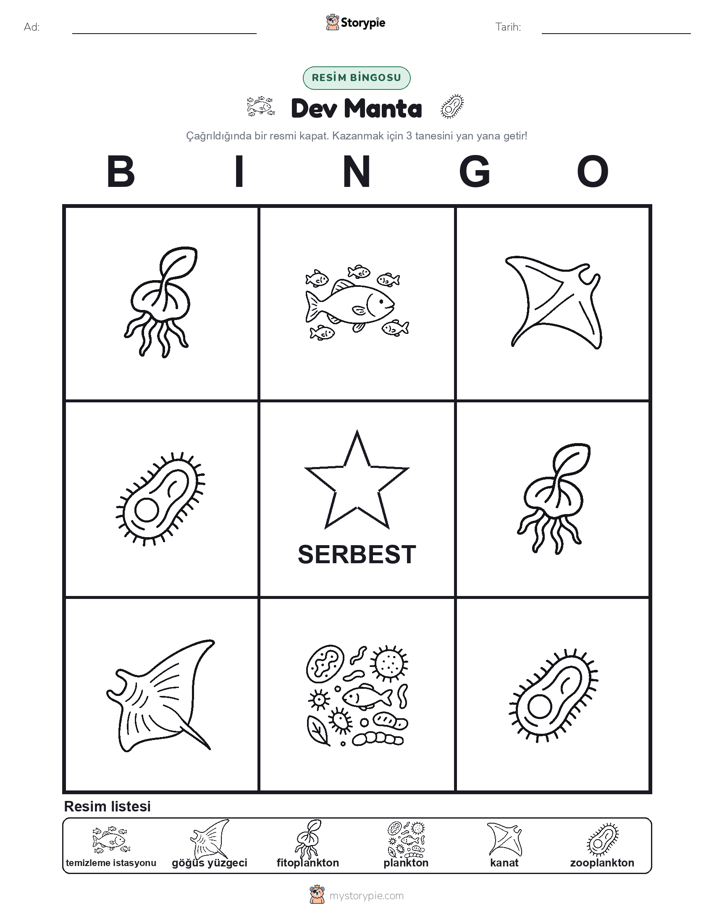 Resim Bingo