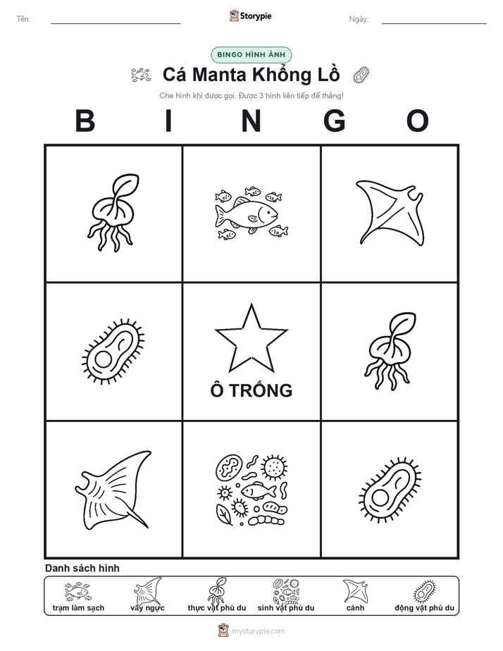 Bingo Hình Ảnh