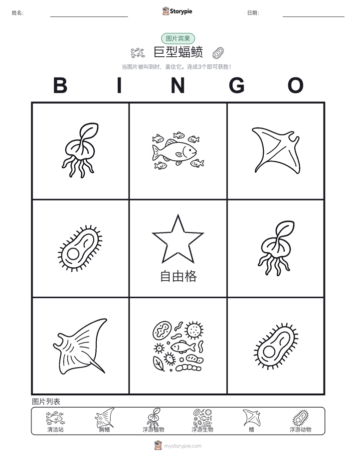 图片宾果