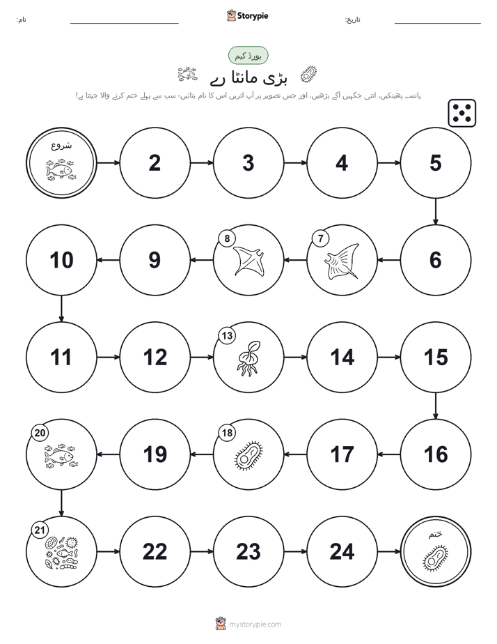 رول اور منتقل کریں کھیل