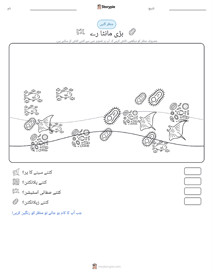 گنتی کا منظر