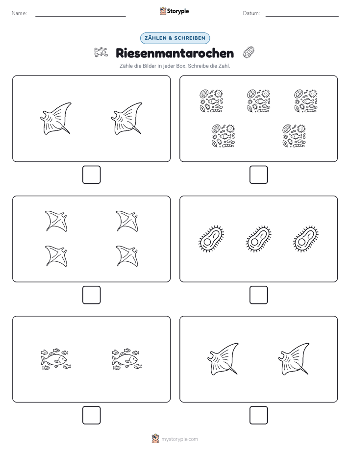 Zählen & Schreiben