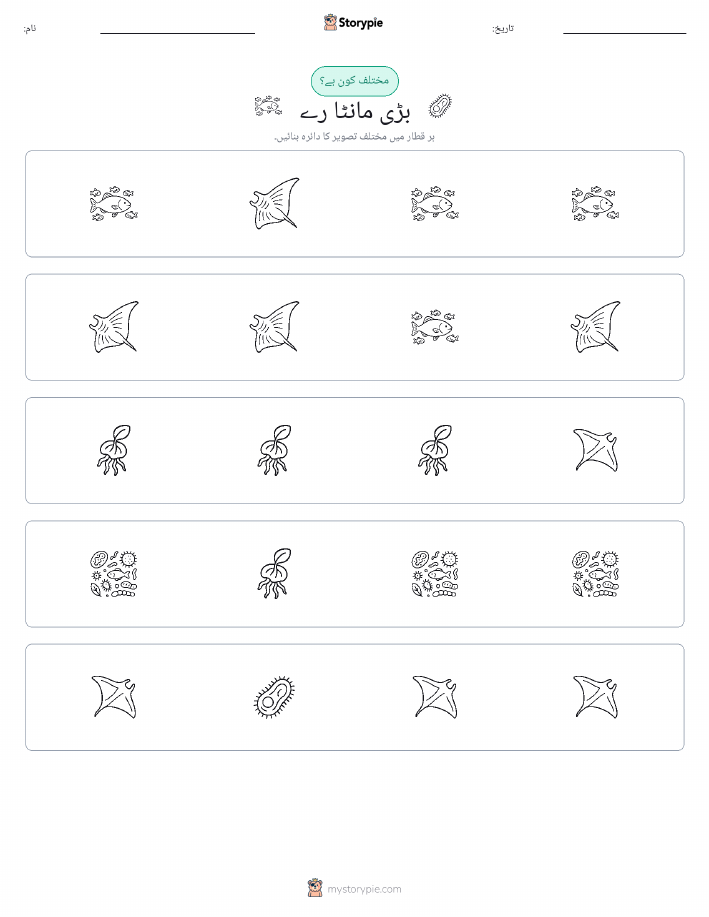 عجیب ایک