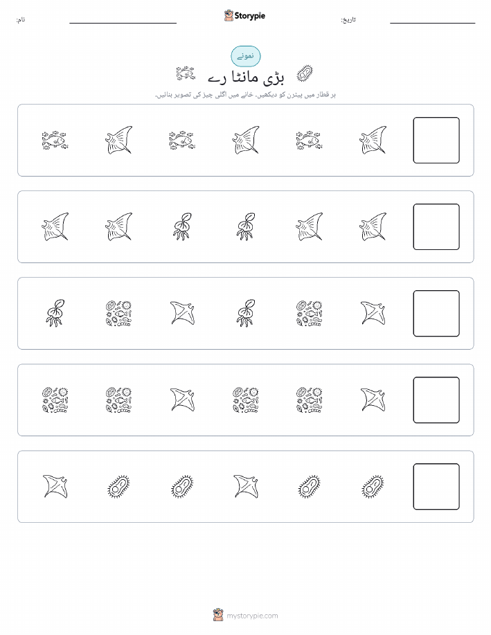 پیٹرن