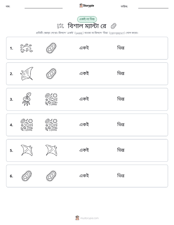 একই বা ভিন্ন