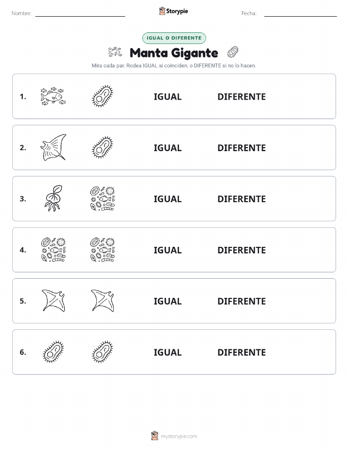 Igual o Diferente