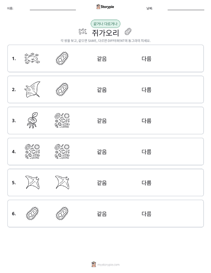 같은 것 또는 다른 것