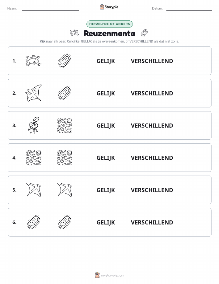 Zelfde of Verschillend