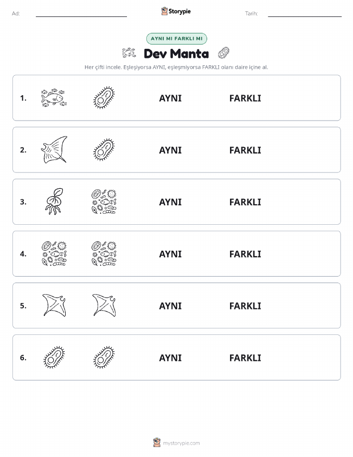 Aynı mı Farklı mı