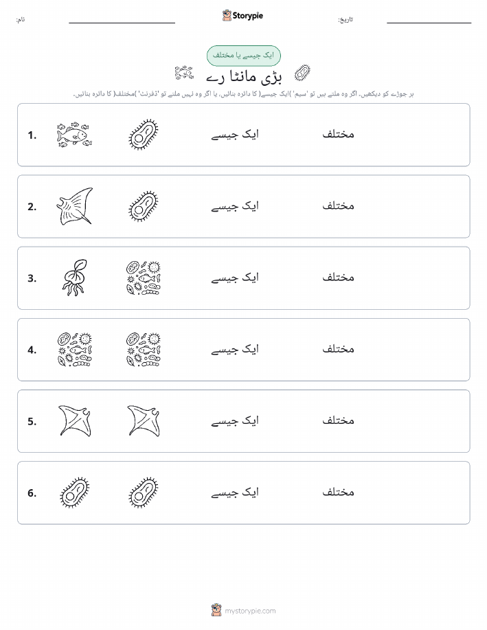 ایک جیسا یا مختلف