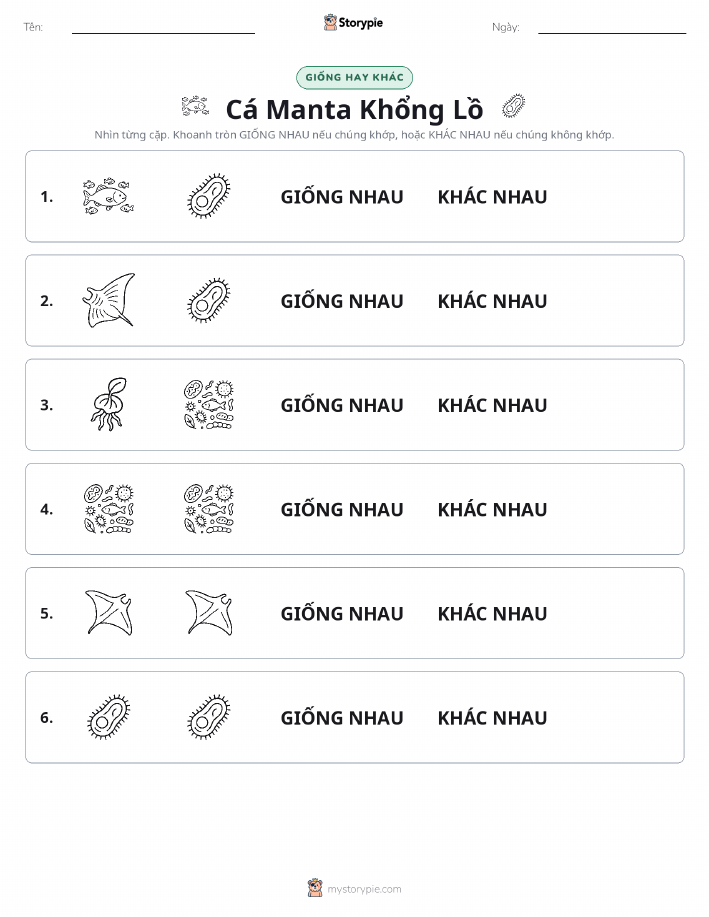 Giống Hay Khác