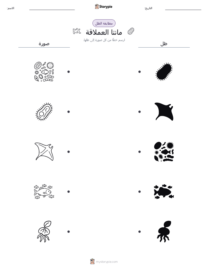 مطابقة الظل