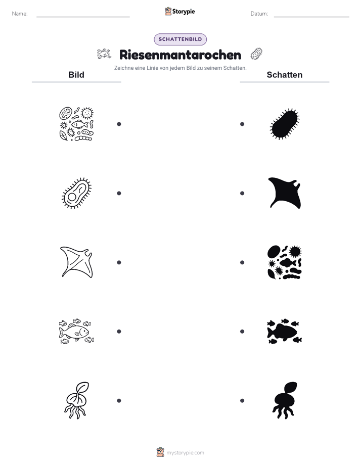 Schattenmatch