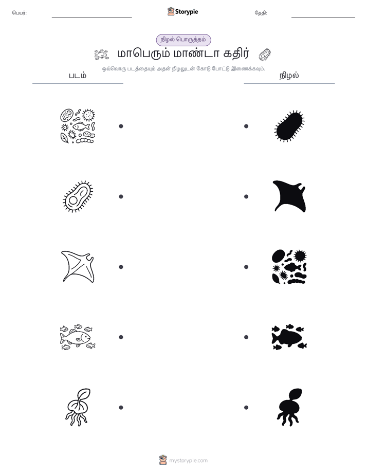 நிழல் பொருத்தம்
