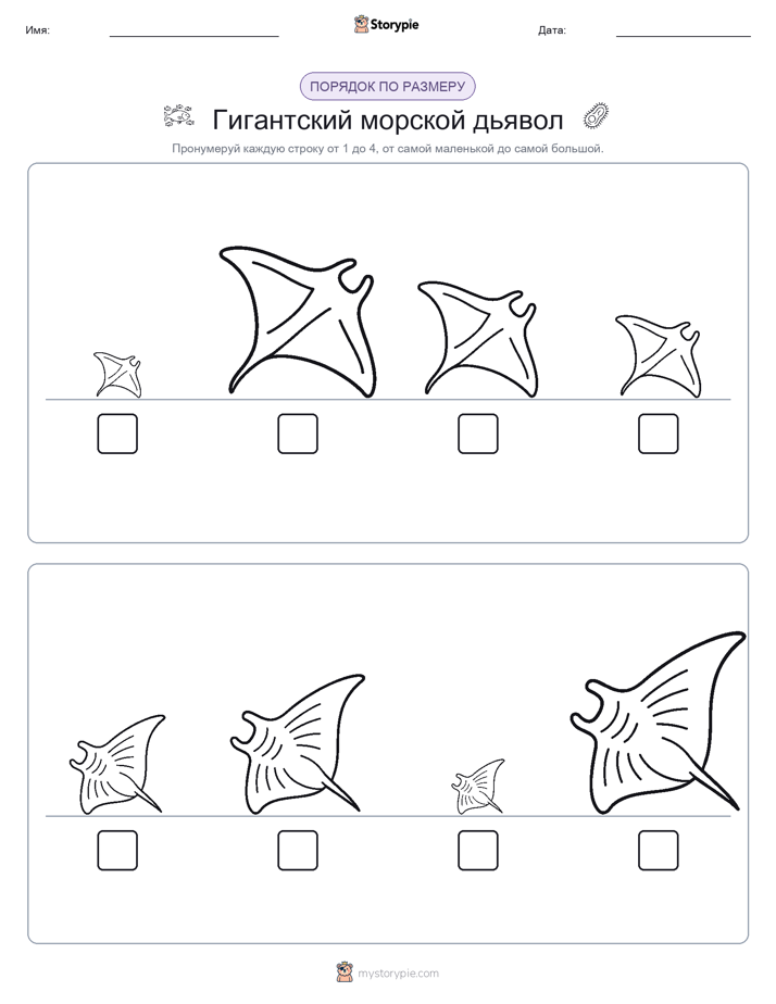 Размеры в порядке